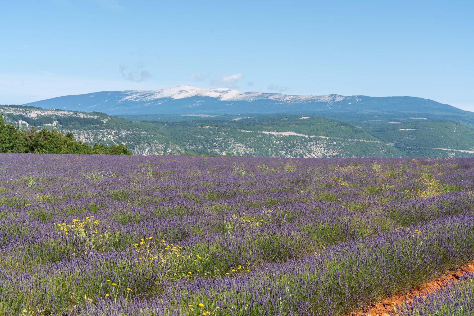 Les Demeures Du Ventoux Villa Обиньон Екстериор снимка